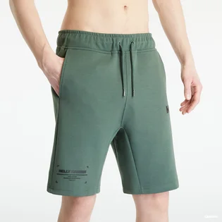 Шорты мужские Helly Hansen Move Sweat Shorts Green 53710-476