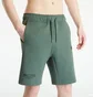 Шорты мужские Helly Hansen Move Sweat Shorts Green 53710-476