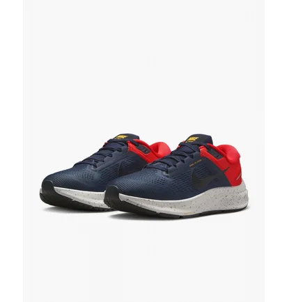 Кросівки чоловічі Nike Structure 24 Blue DA8535-403