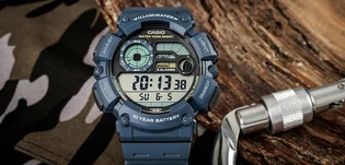Часы мужские Casio Timeless Collection WS-1500H-2A