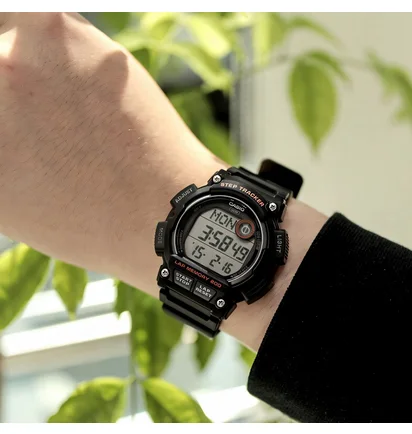 Часы мужские Casio Timeless Collection WS-2100H-1A