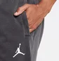 Штаны мужские Air Jordan M J Df Air Flc Pant Grey DA9858-010