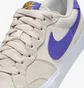 Кросівки чоловічі Nike Sb Zoom Pogo Plus Beige DV5469-003