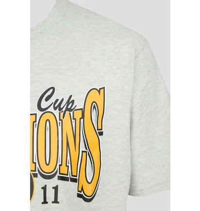 Футболка чоловіча 47 Brand Nhl Boston Bruins Backer White 619888CK-FS