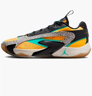 Мужские кроссовки Air Jordan Luka 2 "The Pitch" Multi FQ9044-800