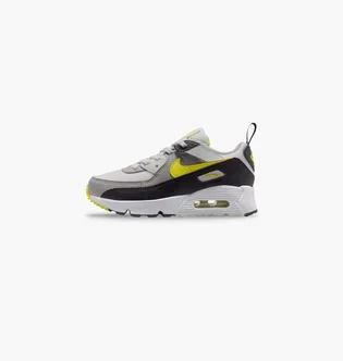 Кроссовки детские Nike Air Max 90 Grey IQ0096-100