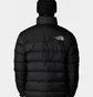 Пуховик мужской The North Face Limbara Insulated Black NF0A89EGJK31