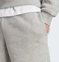 Шорты мужские Adidas All Szn Fleece Grey IJ6878