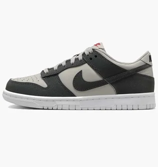 Кросівки дитячі Nike Dunk Low Light Grey FZ1000-001