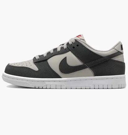 Кросівки дитячі Nike Dunk Low Light Grey FZ1000-001