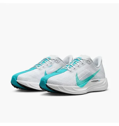 Кросівки чоловічі Nike Pegasus Plus Grey FQ7262-004