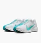 Кросівки чоловічі Nike Pegasus Plus Grey FQ7262-004