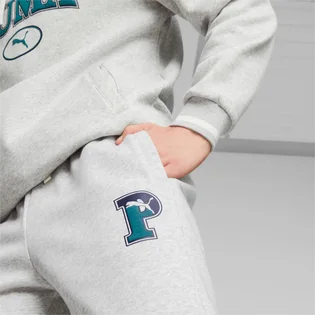 Штани чоловічі Puma Squad Sweatpants Grey 676019-04