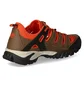 Кроссовки мужские Dockers Gerli Outdoor Brown/Red 52CY001