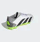 Бутсы женские Adidas Predator Accuracy.3 L Fg White/Grey GZ0014