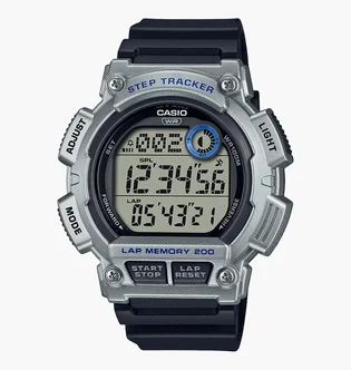 Часы мужские Casio Timeless Collection WS-2100H-1A2