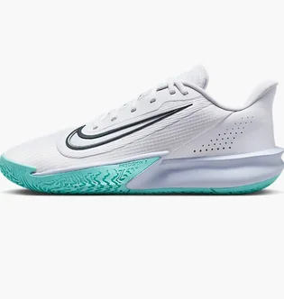 Кросівки чоловічі Nike Precision Vii White HJ9153-101