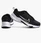 Кроссовки мужские Nike Defyallday Black DJ1196-002