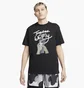 Футболка женская Nike Swoosh Fly Black Dr2595-010