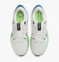 Кросівки чоловічі Nike Pegasus 40 Road Running Shoes White DV3853-006