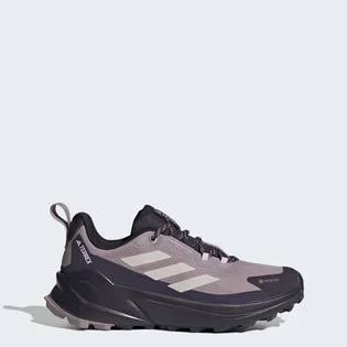 Кроссовки женские Adidas Terrex Trailmaker 2.0 Gore-Tex Hiking Shoes Black/Grey IH3544