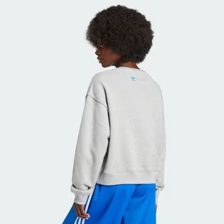 Світшот жіночий Adidas Kseniaschnaider Label Grey IW5666