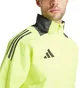 Ветровка мужская Adidas Tiro 24 Competiton Allweather Green IR9519