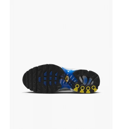 Кросівки дитячі Nike Air Max Plus Grey CD0609-019