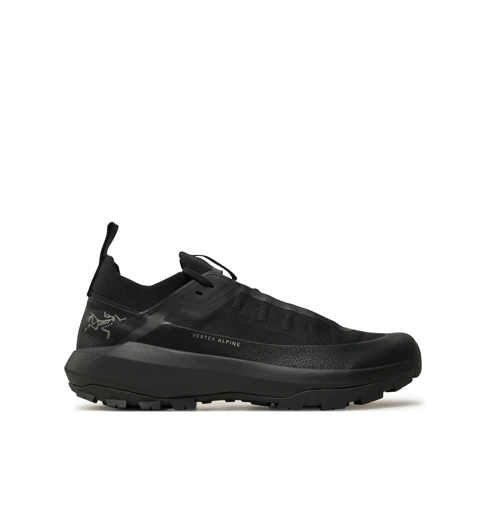 ᐉ Кросівки чоловічі Arc'teryx Vertex Alpine Gore-Tex Black