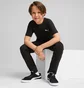 Футболка детская Puma Evostripe Youth Tee Black 676276-01