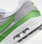 Кросівки чоловічі Nike Air Max 1 Patta 20Th Grey/Green HF1012-300