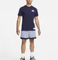 Футболка мужская Nike Giannis Violet Dr7619-498