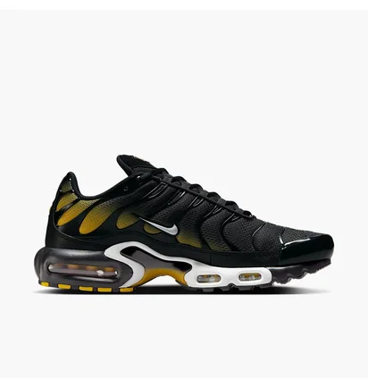 Кроссовки мужские Nike Air Max Plus Black DM0032-013