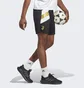 Шорты мужские Adidas Juventus Icon Shorts Black HS9806