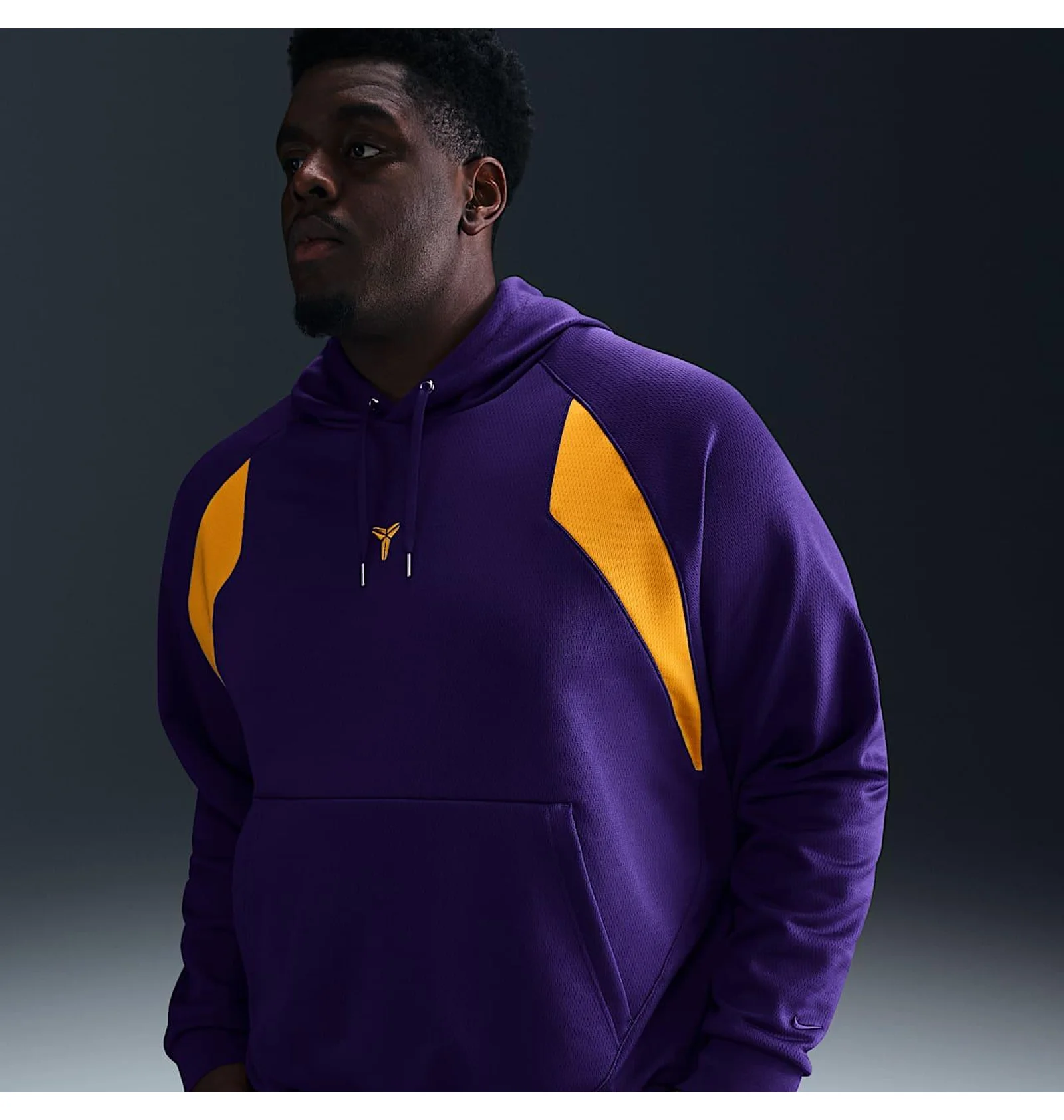ᐉ Худи мужское Nike Kbfund Po Violet HJ8109-547 - купить в