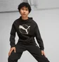 Худи мужское Puma Better Sportswear Black 676064-01