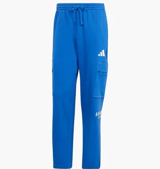 Штаны мужские Adidas All Szn Fleece Graphic Loose Sportswear Blue JJ3663
