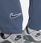 Штаны мужские Nike Sportswear Trend Blue FN5196-491