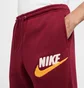 Штани чоловічі Nike Club Jogger Futura Bb Bordo FN3094-677