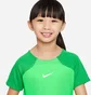 Спортивный костюм детский Nike Lk Df Acdpr Trn Kit Green/Black DH9484-329