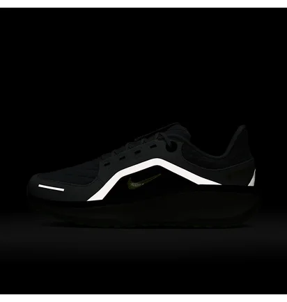 Кроссовки мужские Nike Winflo 11 Gore-Tex Grey FQ1358-005