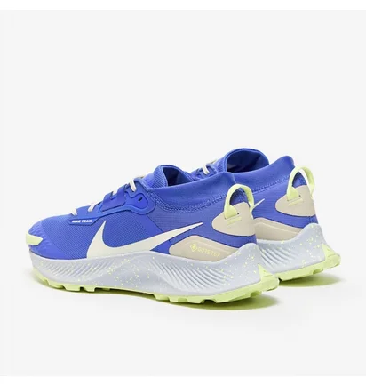 Кроссовки женские Nike Pegasus Trail 3 Gtx Blue DC8794-400