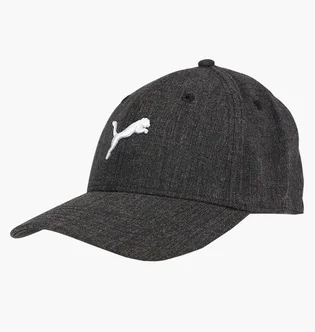 Кепка унісекс Puma Element Stretch Fit Grey 858392-02