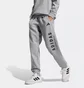 Штаны детские Adidas J All Season Gfx Grey JC7640