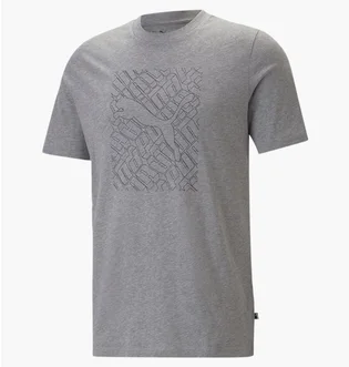 Футболка мужская Puma Hc Graphic Grey 674474-03