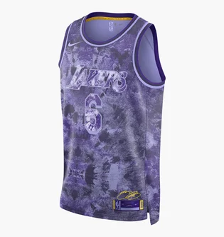 Майка чоловіча Nike Lebron James Los Angeles Lakers 2022/23 Select Series Dri-Fit Nba Swingman Jersey Violet FD4093-580