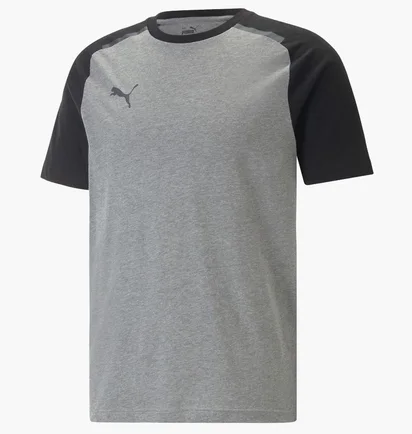 Футболка мужская Puma Teamcup Casuals Tee Grey 657992-13