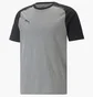 Футболка мужская Puma Teamcup Casuals Tee Grey 657992-13