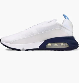 Кросівки чоловічі Nike Air Max 2090 White DM2823-100