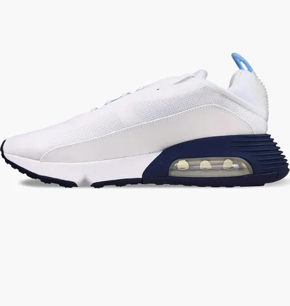 Кросівки чоловічі Nike Air Max 2090 White DM2823-100